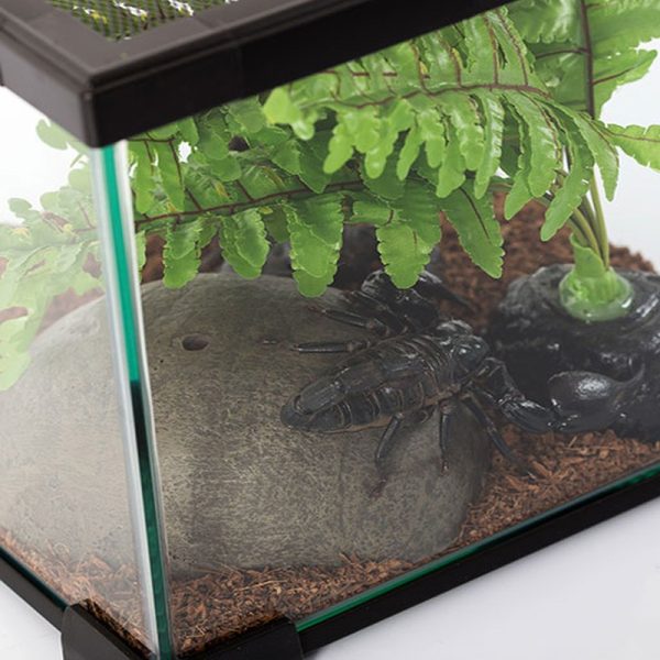 Akwarium / terrarium / Animals