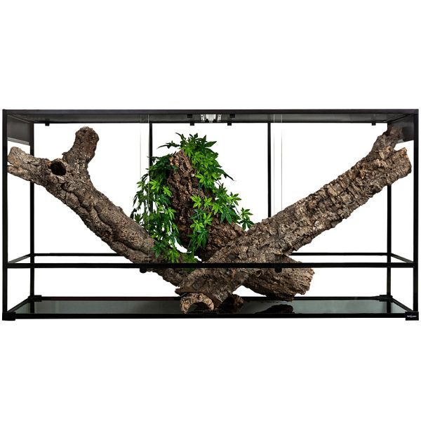 Akwarium / terrarium / Animals
