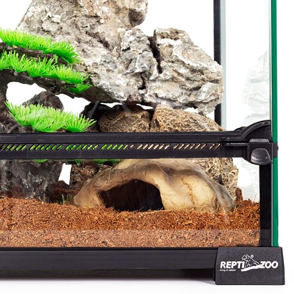Akwarium / terrarium / Animals