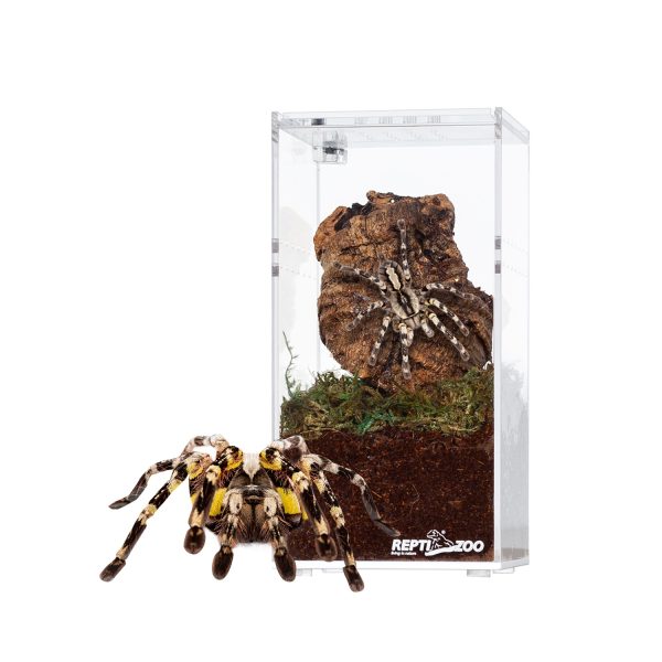 Repti-Zoo Terrarium akrylowe wysokie 7