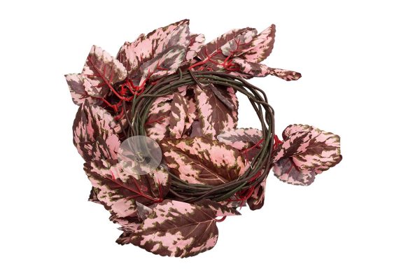 Repti-Zoo roślina wisząca 190cm - Begonia sklep akwarystyczny śląsk