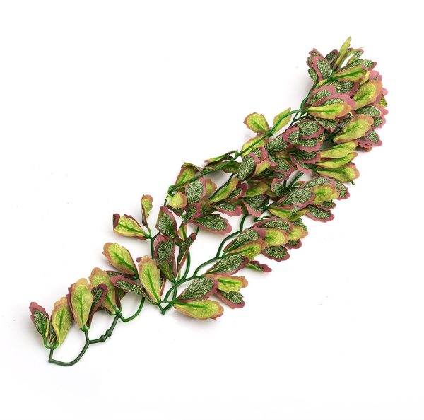 RZ Roslina Marginatum 40cm TP006 sklep akwarystyczny / terrarystyczny