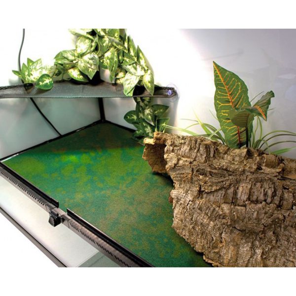 Akwarium / terrarium / Animals