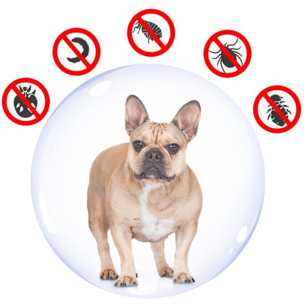 Sabunol Medium Dogs 1ml - krople na pchły kleszcze dla średnich psów sklep premium dla akwarystów