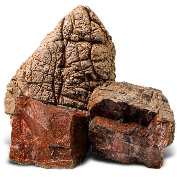 Akwarium / terrarium / Animals