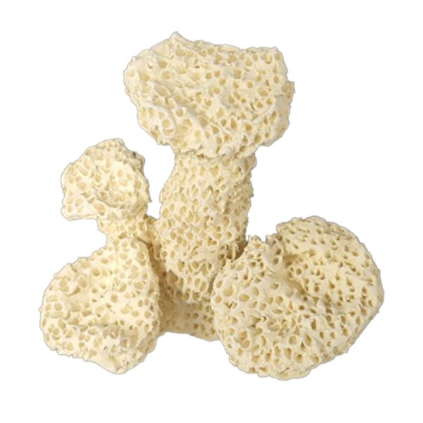 XXX SKALA CERAMICZNA D122 (M) sklep akwarystyczny / terrarystyczny