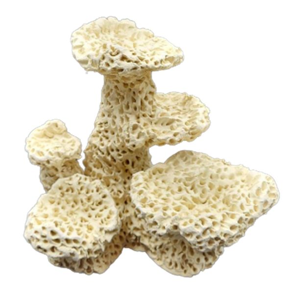 Skała ceramiczna do akwarium 20x15x18cm sklep akwarystyczny śląsk