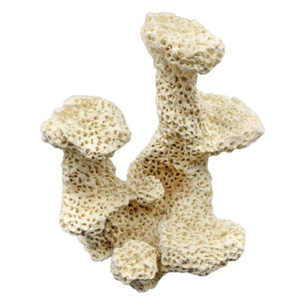 Skała ceramiczna do akwarium 23x20x24cm sklep akwarystyczny śląsk