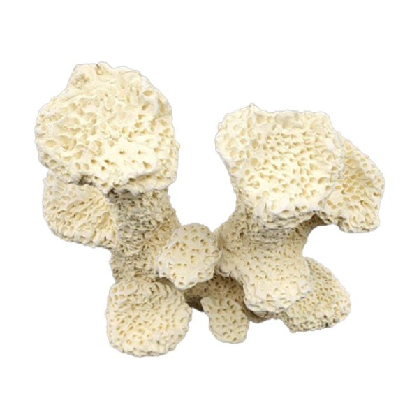 XXX SKALA CERAMICZNA DD013 (L) sklep akwarystyczny / terrarystyczny