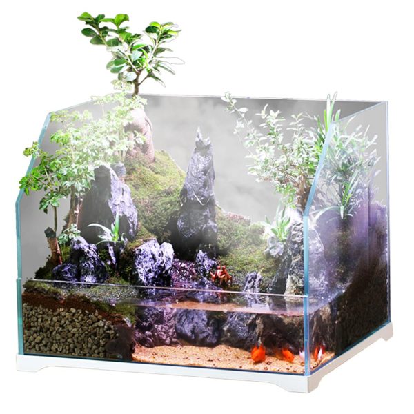 SunSun Aqua Paludarium 30l - zestaw paludarium sklep premium dla akwarystów