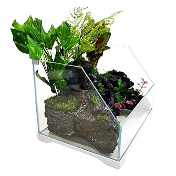 SunSun Aqua Paludarium 30l - zestaw paludarium sklep akwarystyczny śląsk