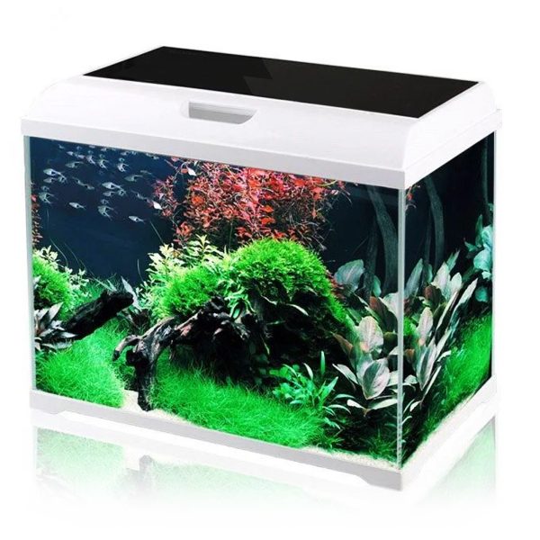 SunSun Supreme AquaPlant 40l - zestaw akwarium sklep premium dla akwarystów