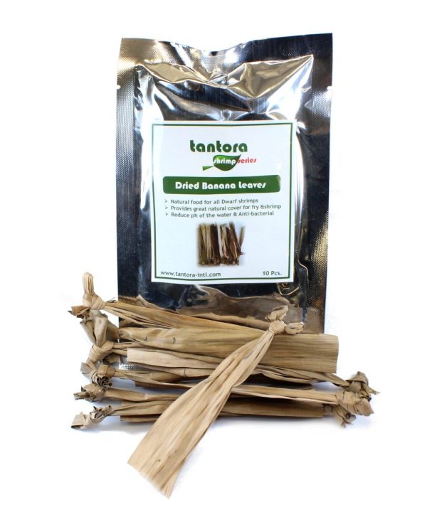 Tantora Banana Leaves Liście Bananowca 10 Sztuk sklep akwarystyczny śląsk