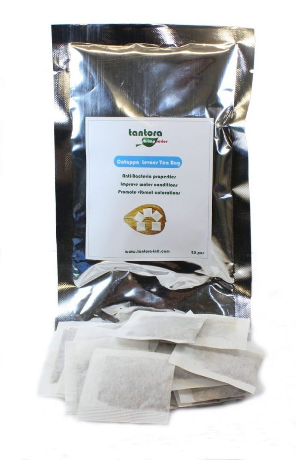 Tantora Cattapa Tea Bags Ketapang 20Szt. sklep akwarystyczny śląsk