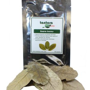 Tantora Guava Leaves Liście Guawy 10Szt. sklep akwarystyczny śląsk
