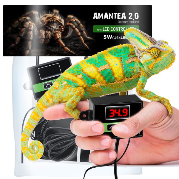 TR AMANTEA MATA GRZEWCZA 5W sklep akwarystyczny / terrarystyczny