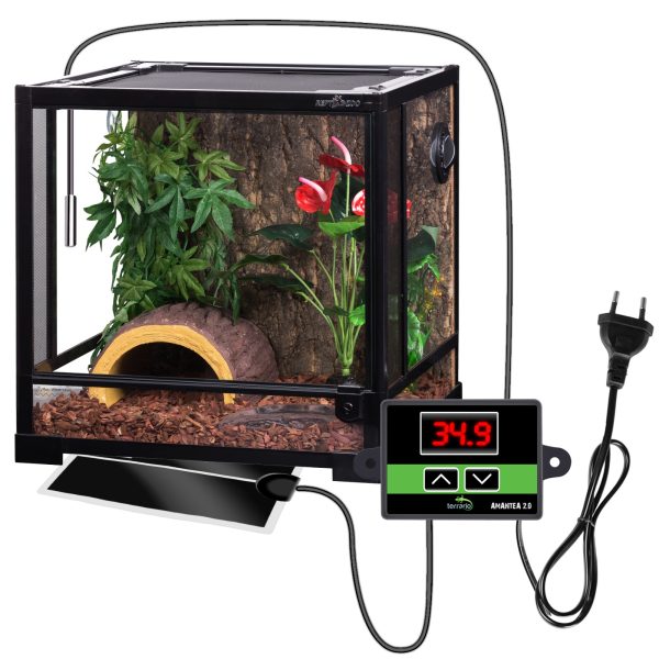 Akwarium / terrarium / Animals