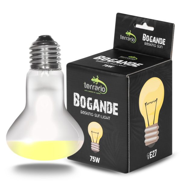 Terrario Bogande Basking Sun Light - żarówka grzewcza 75W sklep premium dla akwarystów