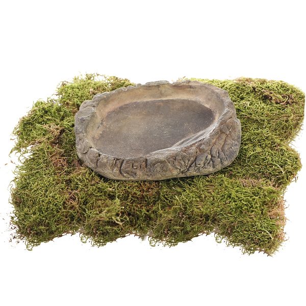 Terrario FoodStone XL - miska na pokarm 20x15x3cm sklep premium dla akwarystów