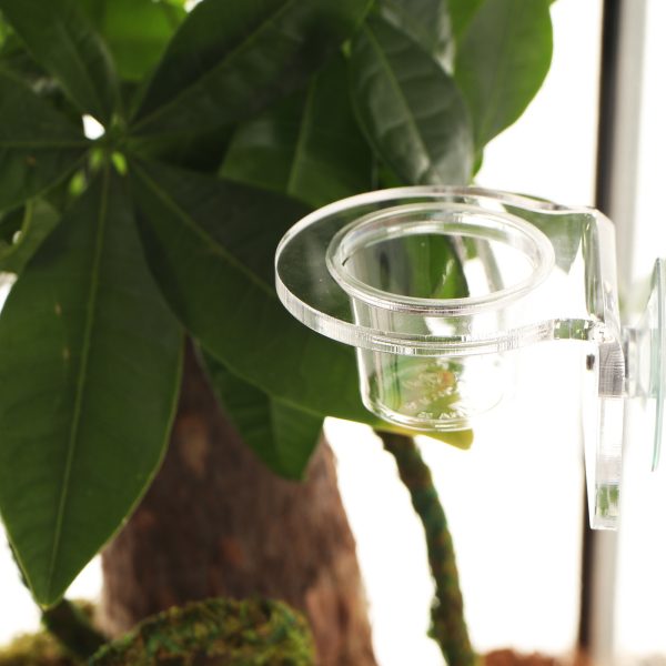 Terrario Gecko Bar Dish - miseczka zapasowa 30ml sklep premium dla akwarystów