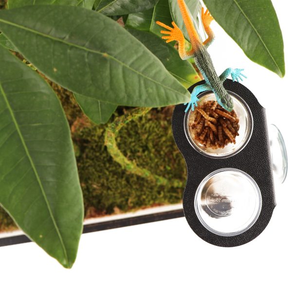 Akwarium / terrarium / Animals
