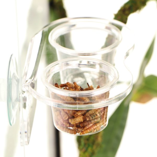 Akwarium / terrarium / Animals