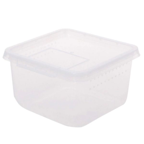 Terrario Insect Box Compact - plastikowe terrarium 12x12x7cm sklep akwarystyczny śląsk