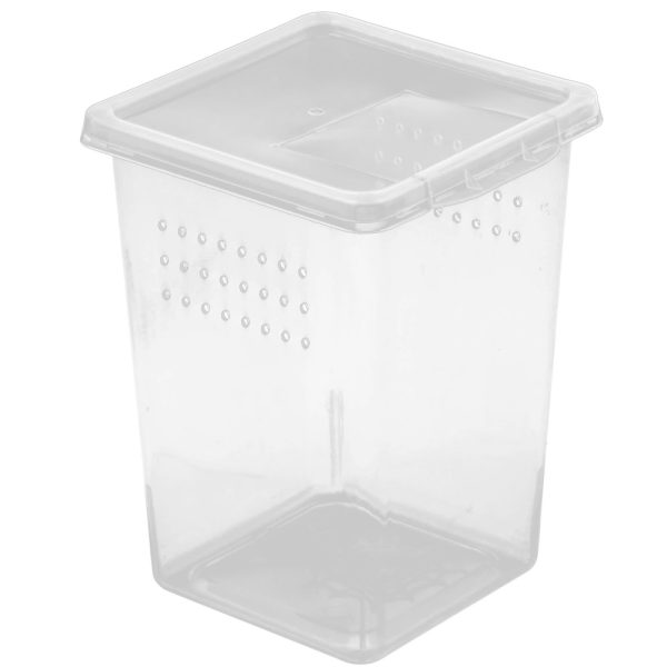 Terrario Insect Box High - plastikowe terrarium 9x9x11cm sklep akwarystyczny śląsk