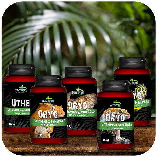 Terrario ORYO for Turtles & Tortoise 150g - witaminy dla żółwi sklep premium dla akwarystów
