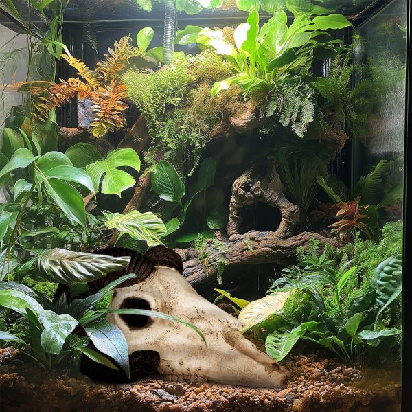Akwarium / terrarium / Animals