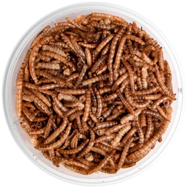 TR REPTI BITES MEALWORMS 250ML sklep akwarystyczny / terrarystyczny