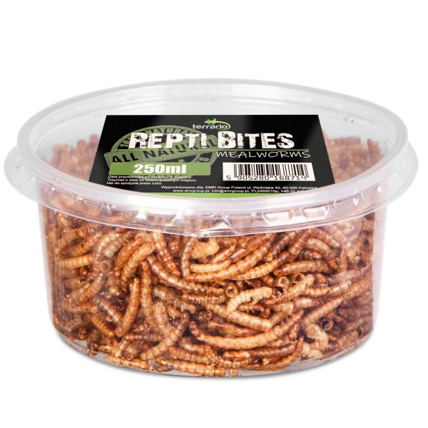 Terrario Repti Bites Mealworms 250ml - larwy mącznika suszone sklep akwarystyczny śląsk