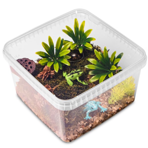 Terrario ReptiBox 19x19x12cm - przeźroczyste terrarium faunarium sklep premium dla akwarystów