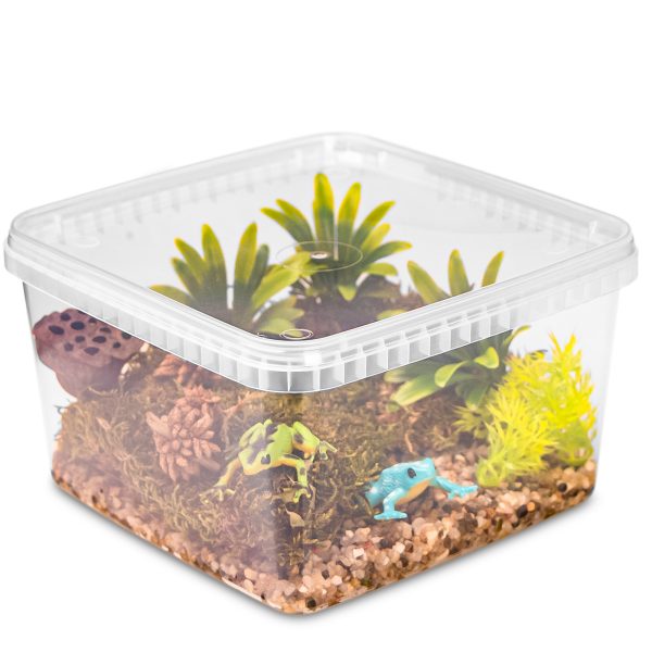 Terrario ReptiBox 19x19x12cm - przeźroczyste terrarium faunarium sklep akwarystyczny śląsk