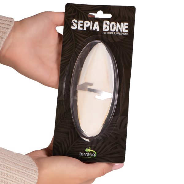 Terrario Sepia Bone - sepia w całości z uchwytem sklep premium dla akwarystów