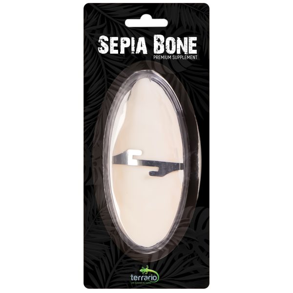 Terrario Sepia Bone - sepia w całości z uchwytem sklep akwarystyczny śląsk