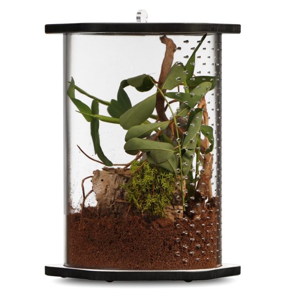Akwarium / terrarium / Animals