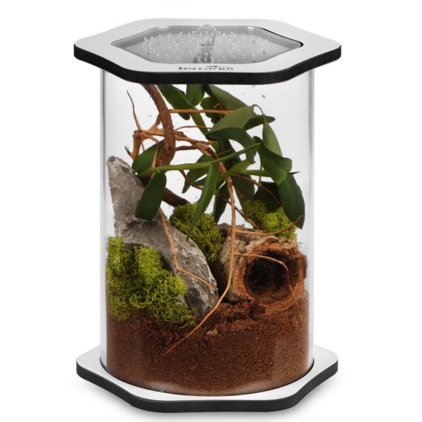 Terrario Spiders Tube Big200 - terrarium akrylowe sklep akwarystyczny śląsk