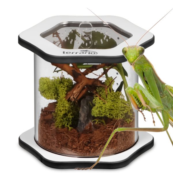 Akwarium / terrarium / Animals