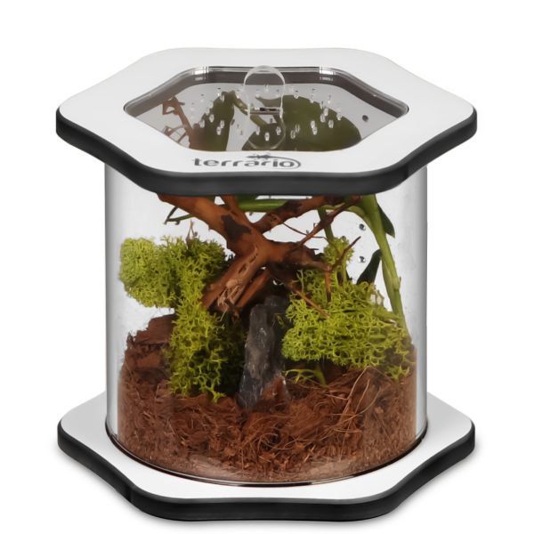 Terrario Spiders Tube Med100 - terrarium akrylowe sklep akwarystyczny śląsk