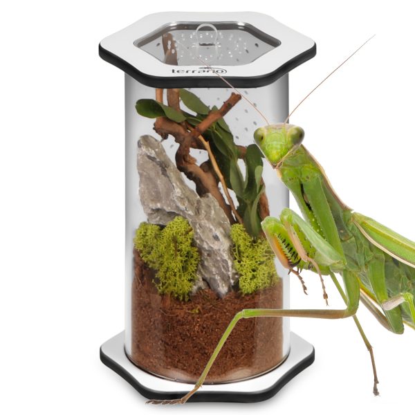 Akwarium / terrarium / Animals