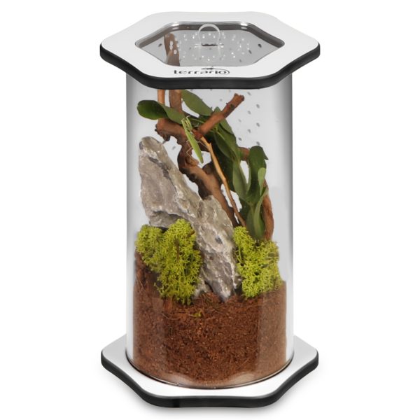 Terrario Spiders Tube Med200 - terrarium akrylowe sklep akwarystyczny śląsk