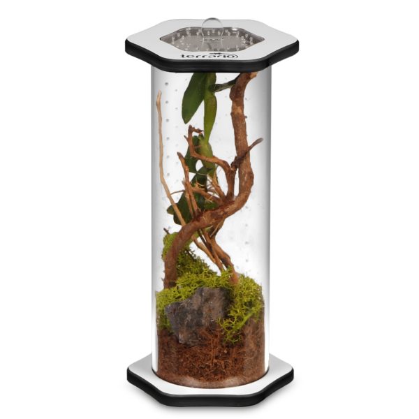 Terrario Spiders Tube Tall200 - terrarium akrylowe sklep akwarystyczny śląsk