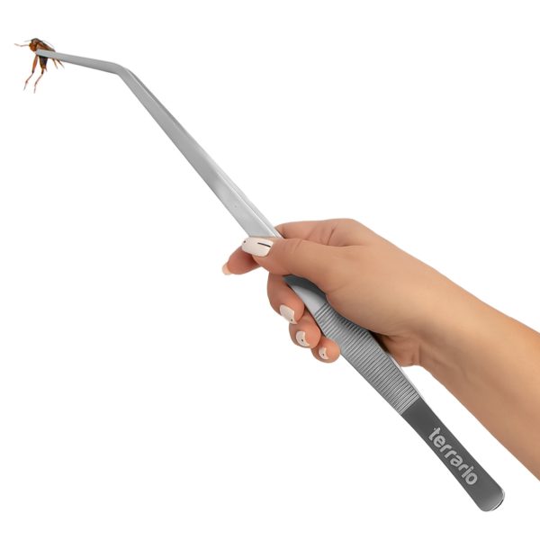 TR PESETA 38CM ZAGIETA sklep akwarystyczny / terrarystyczny
