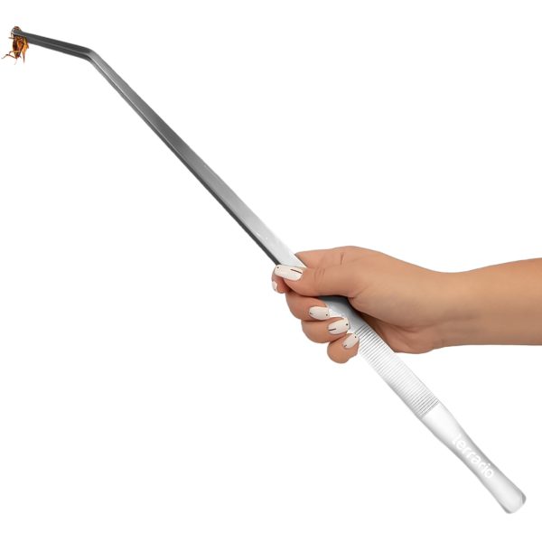 TR PESETA 48CM ZAGIETA sklep akwarystyczny / terrarystyczny