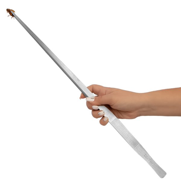 TR PESETA 48CM PROSTA sklep akwarystyczny / terrarystyczny