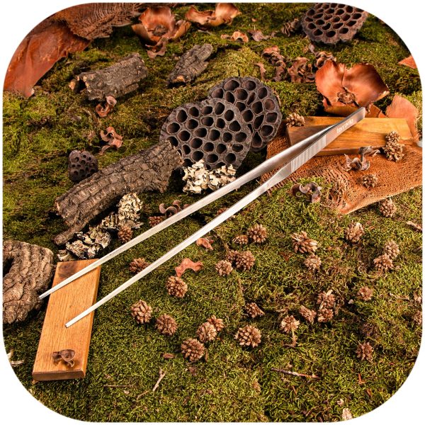 Akwarium / terrarium / Animals