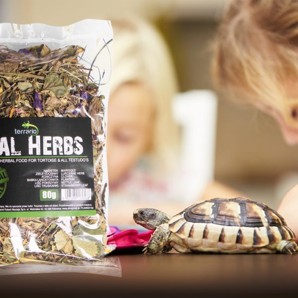 TR VITAL HERBS 80G sklep akwarystyczny / terrarystyczny