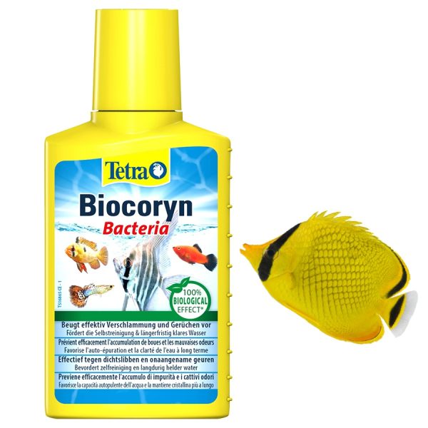 Tetra Biocoryn - środek do zwalczania szkodliwych substancji 100ml sklep premium dla akwarystów