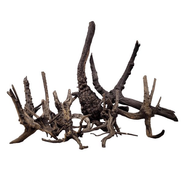 WIO BLACK TREE TRUNK WOOD 25-40CM M 1SZT. sklep akwarystyczny śląsk